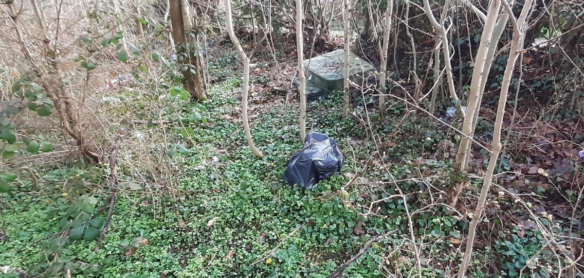 Image for the article Fly tipper fined